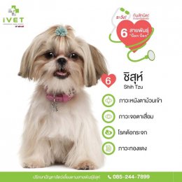 Be cautious! With the most infected diseases from 6 different dog breeds